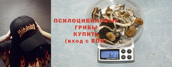 PSILOCYBIN Алексеевка